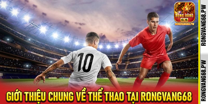 Thể Thao RongVang68: Trải Nghiệm Cá Cược Đỉnh Cao Cho Người Yêu Thể Thao - rongvang68.pw