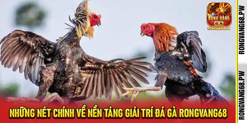 Đá gà RongVang68 - Sân Chơi Cá Cược Trực Tuyến Hấp Dẫn Cho Tín Đồ Chiến Kê - rongvang68.pw