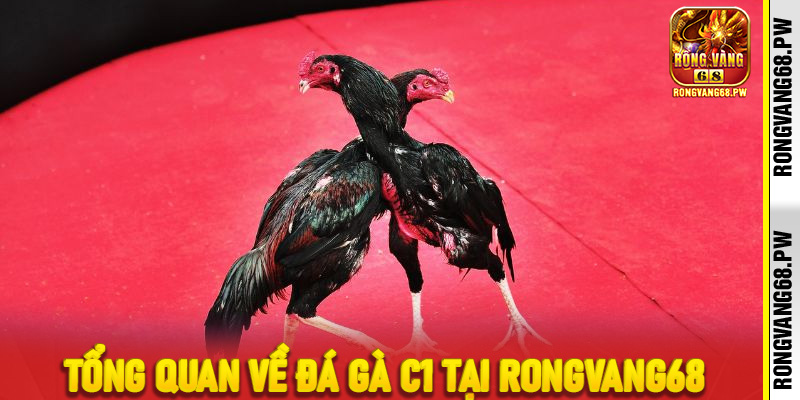 Mẹo Chơi Đá Gà C1 Tại RONGVANG68 Để Tối Ưu Chiến Thắng - rongvang68.pw