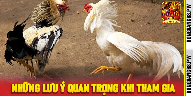 Săn Thưởng Cùng Đá Gà Cựa Sắt Trực Tiếp Tại RongVang68 - rongvang68.pw