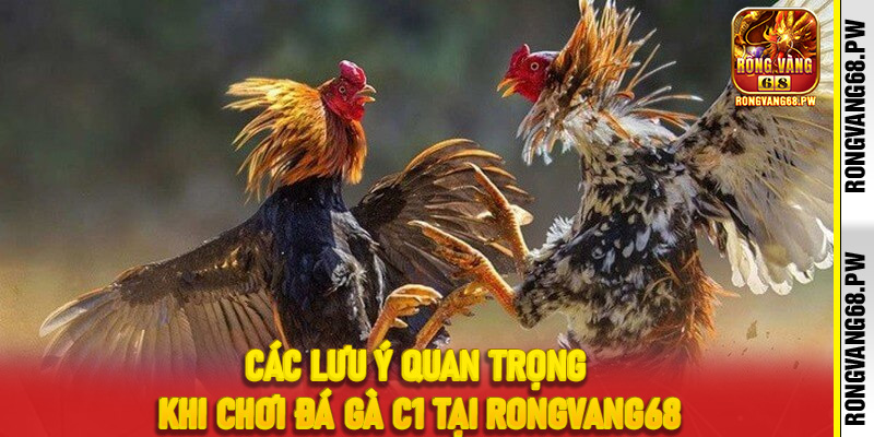 Mẹo Chơi Đá Gà C1 Tại RONGVANG68 Để Tối Ưu Chiến Thắng - rongvang68.pw