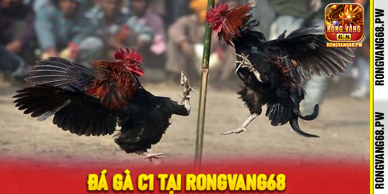 Mẹo Chơi Đá Gà C1 Tại RONGVANG68 Để Tối Ưu Chiến Thắng - rongvang68.pw