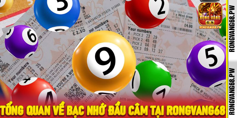 Bạc Nhớ Đầu Câm 0–9 tại RongVang68: Hé Lộ Quy Luật và Cách Ứng Dụng Hiệu Quả - rongvang68.pw