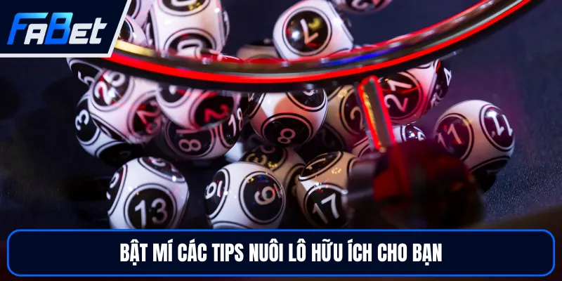 Song Thủ Lô - Bí Quyết Chốt Cầu Xổ Số Kiến Thiết Hữu Ích