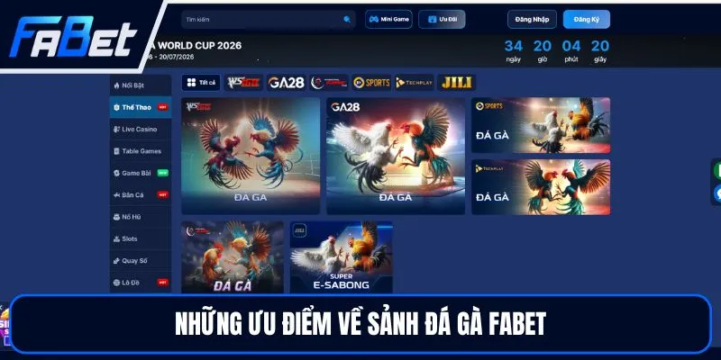 Đá Gà FABET - Trải Nghiệm Sảnh Đấu Trực Tiếp Hấp Dẫn