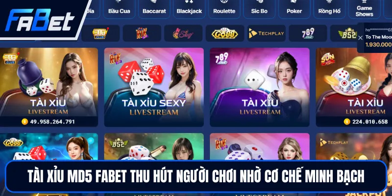 Tài Xỉu MD5 FABET - Cách Chơi Hiệu Quả Cho Tân Thủ