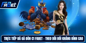 Đá Gà FABET - Trải Nghiệm Sảnh Đấu Trực Tiếp Hấp Dẫn